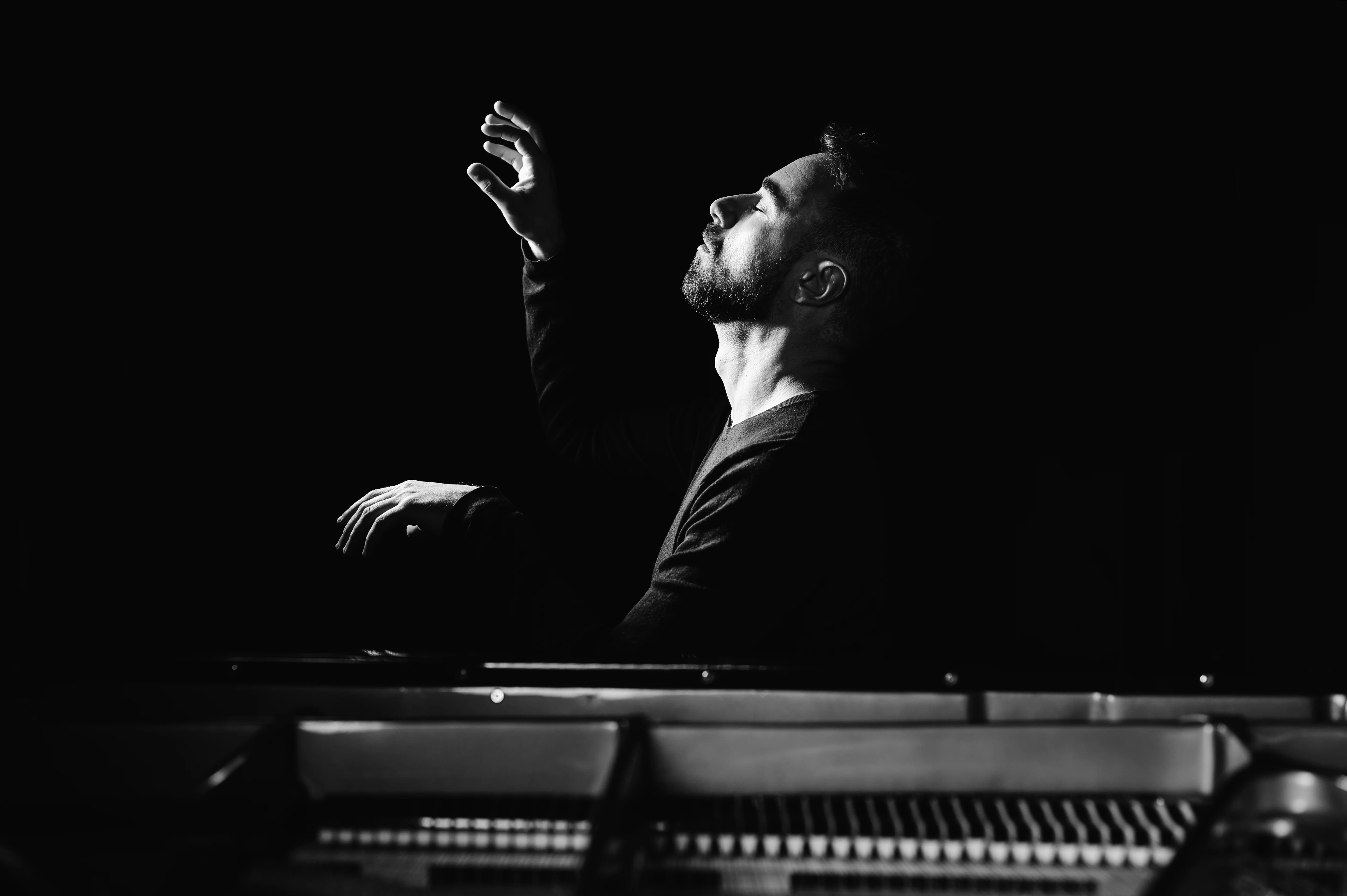 Flamenco · Concierto en directo